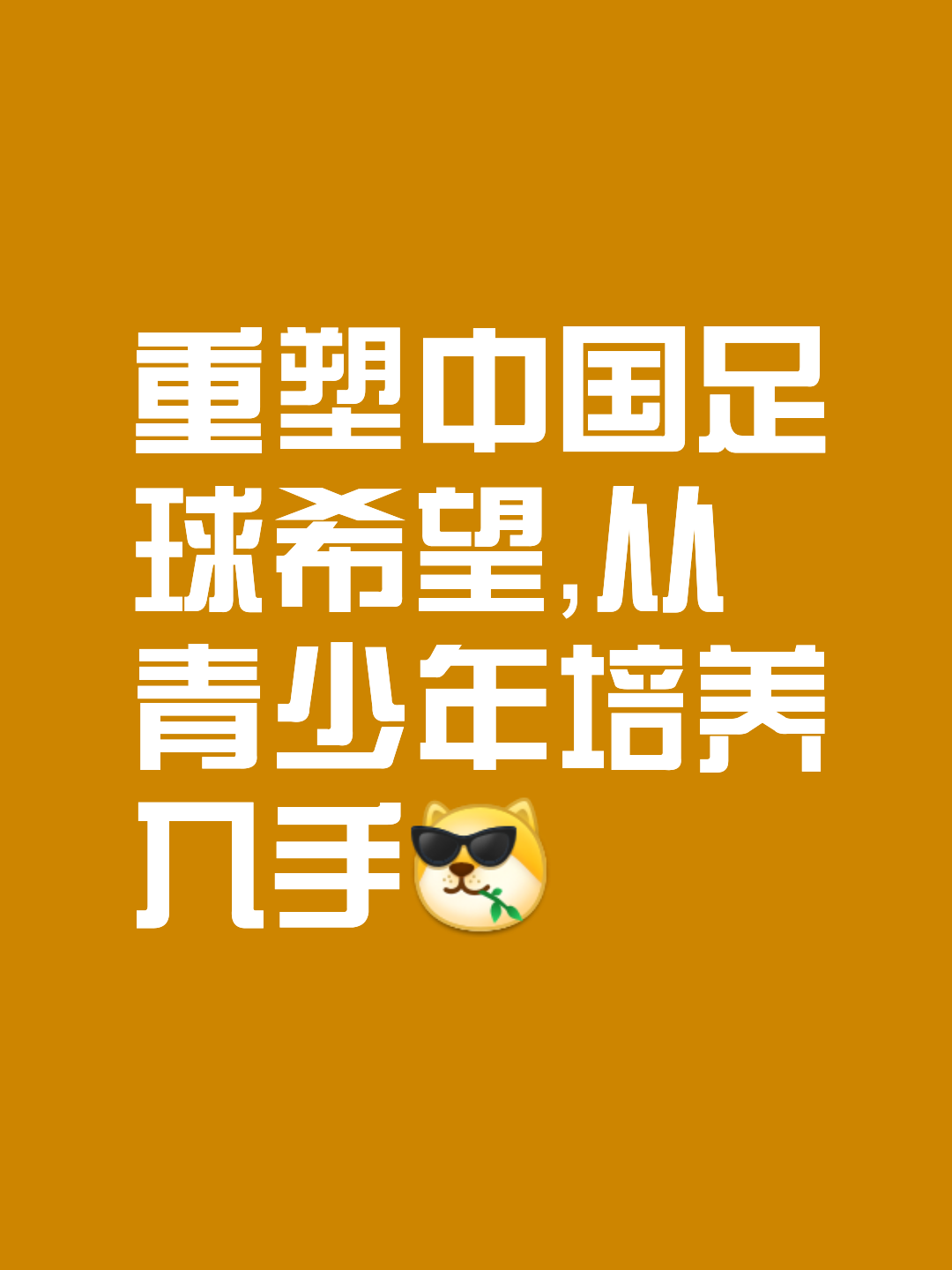 关于国内球队立志崛起，欲问鼎亚洲赛场尽力而为的信息